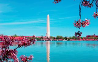 Washington